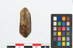 Foto von Bernsteinringperle (NHMW-PRAE-026247)